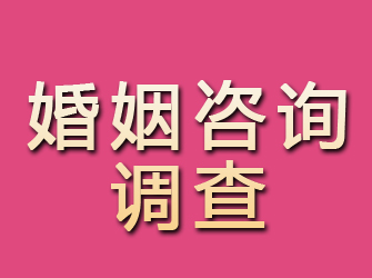 普定婚姻咨询调查